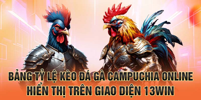 Bảng tỷ lệ kèo đá gà campuchia online hiển thị trên giao diện 13win