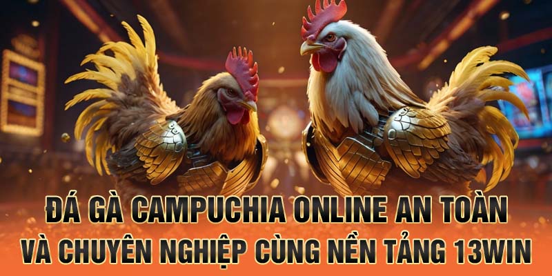 đá gà campuchia online an toàn và chuyên nghiệp cùng nền tảng 13win