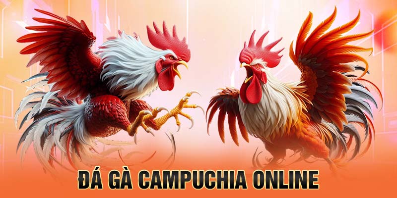 đá gà campuchia online