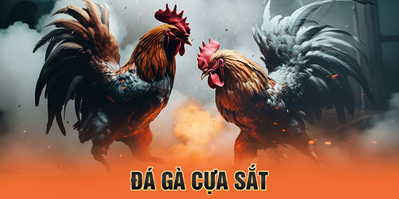 đá gà cựa sắt