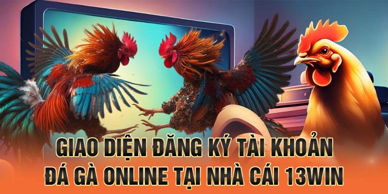Giao diện đăng ký tài khoản đá gà online tại nhà cái 13win.