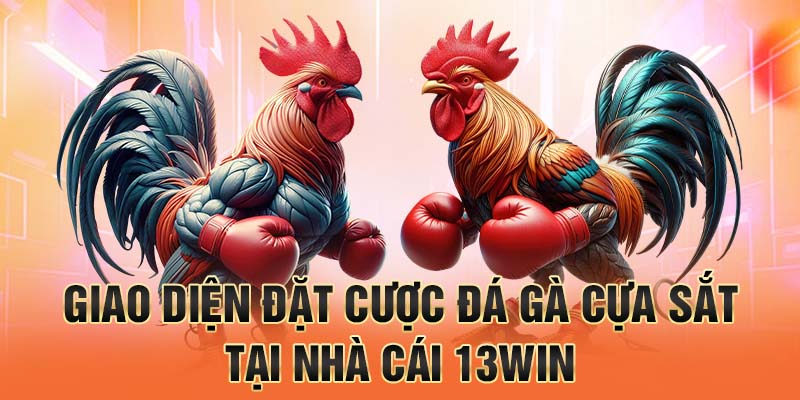 Giao diện đặt cược đá gà cựa sắt tại nhà cái 13win