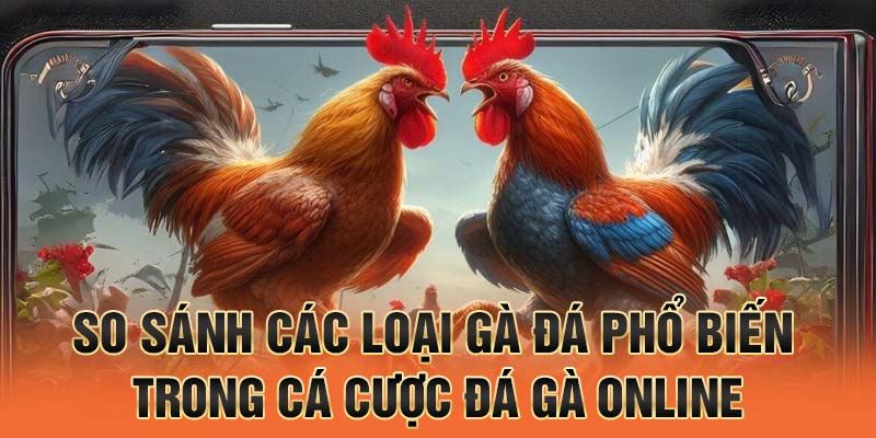 So sánh các loại gà đá phổ biến trong cá cược đá gà online.